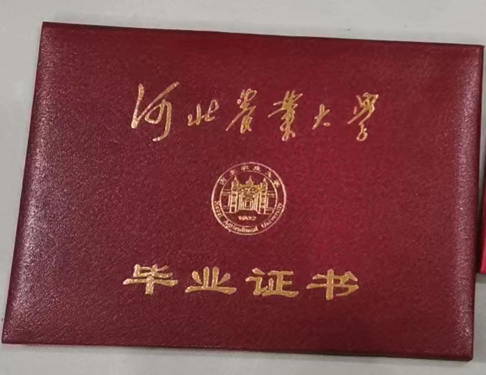 大学毕业证书定制